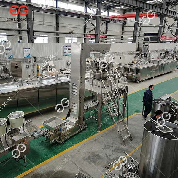 nuts packing machine factory