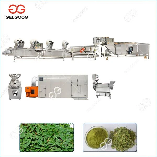 Moringa Leaf Processing Machine