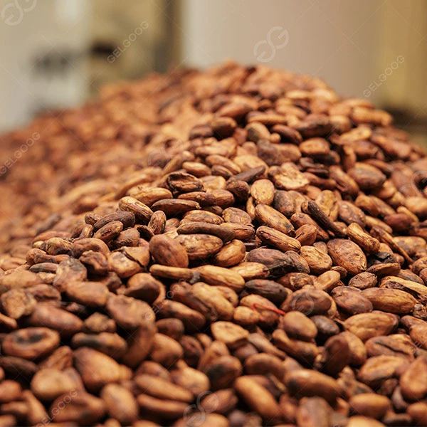 How Long Does It Take To Roast Cocoa Beans? How Long Does It Take To Roast Cocoa Beans?